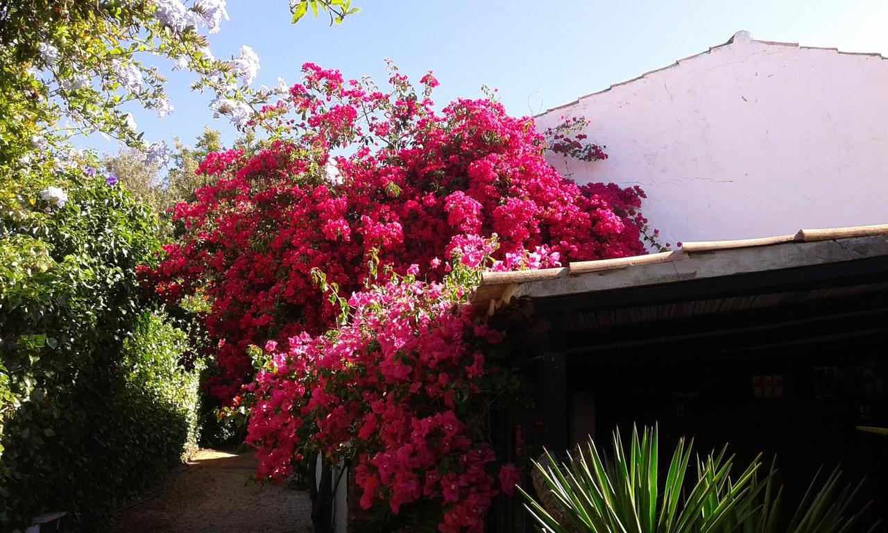 Quinta Das Flores Villa Albufeira Exterior foto